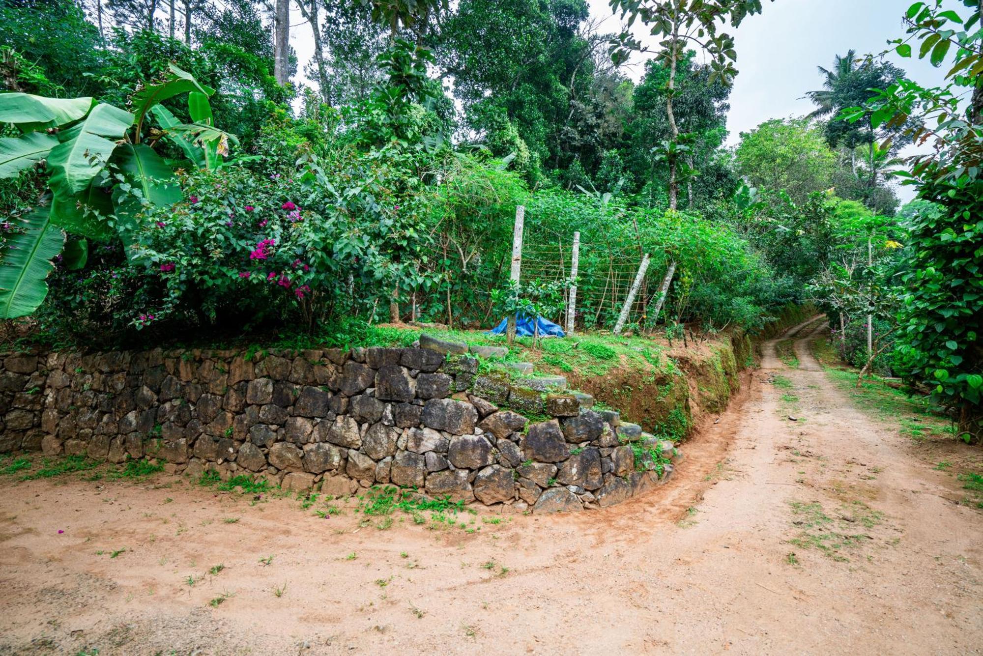 Nature Routes Cottage ムンナール エクステリア 写真